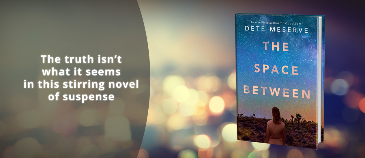 The truth isn't what it seems in this stirring novel of suspense - The Space Between by Dete Meserve (standalone novel)