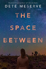 The Space Between book cover